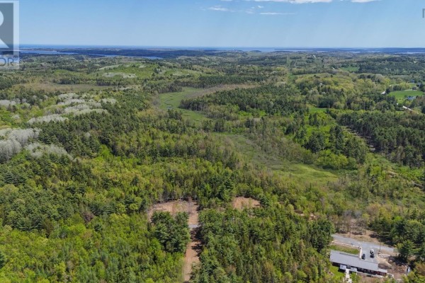 Aerial view of a heavily wooded landscape with scattered clearings and a distant body of water. - Lot 102 Cleversey Ridge Park, Fauxburg