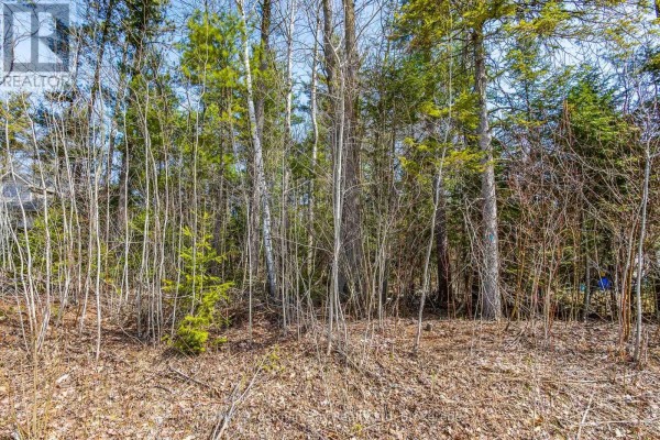 Lot 102 Emilio Street, Tiny, ON, photo 3