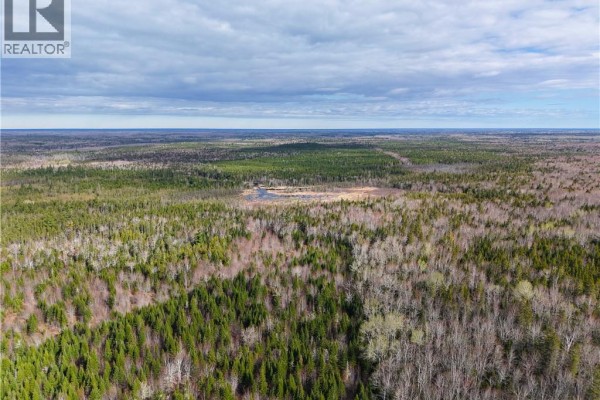 Lot 102 Off Bristol Road, Saint Paul, NB E4T3C4 Photo 3