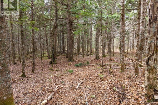 Lot 102 Off Bristol Road, Saint Paul, NB E4T3C4 Photo 4