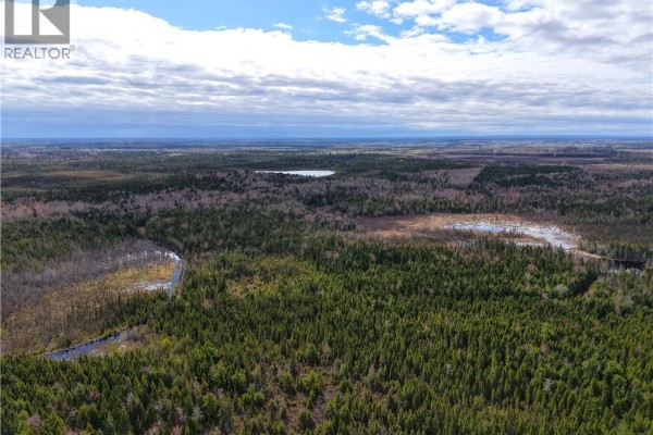 Lot 102 Off Bristol Road, Saint Paul, NB E4T3C4 Photo 5
