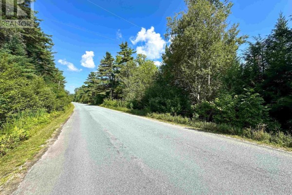 Paved road lined with trees and shrubs under a clear blue sky. - Lot 103 Crouses Settlement Road, Crouses Settlement