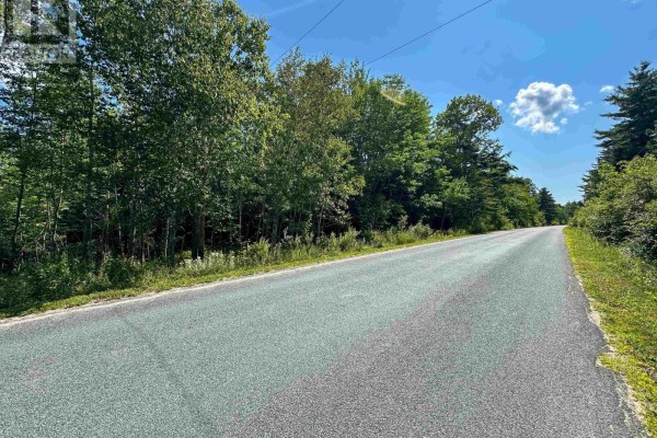Paved road with dense greenery on both sides and a few clouds in the sky. - Lot 103 Crouses Settlement Road, Crouses Settlement