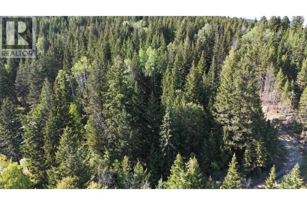 Lot 103 Julsrud Road, Deka Lake / Sulphurous / Hathaway Lakes, BC, photo 3