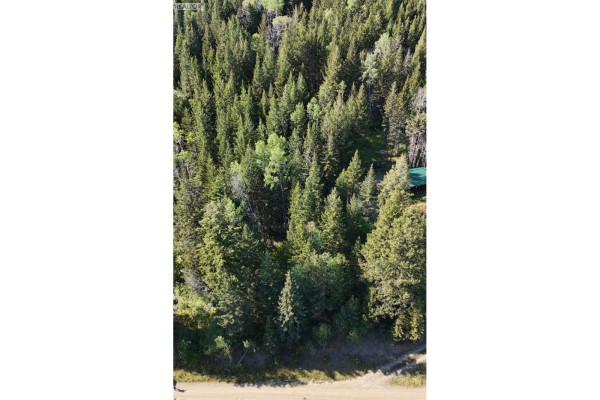 Lot 103 Julsrud Road, Deka Lake / Sulphurous / Hathaway Lakes, BC V0K1X3 Photo 4