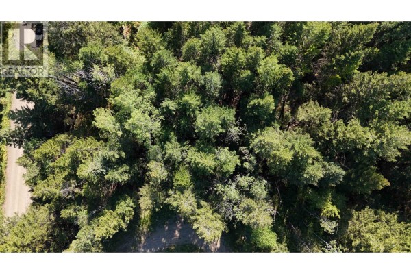 Lot 103 Julsrud Road, Deka Lake / Sulphurous / Hathaway Lakes, BC V0K1X3 Photo 5