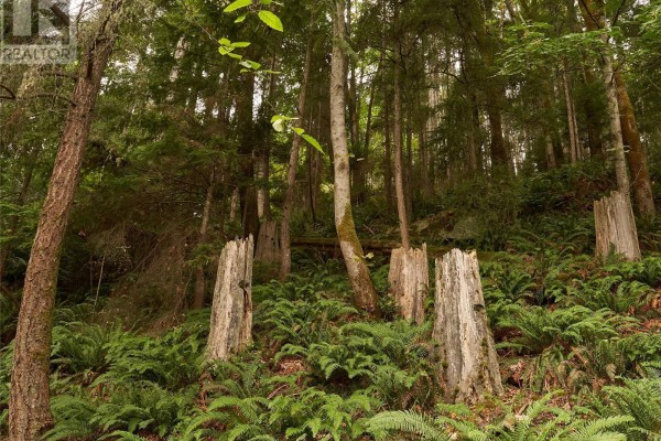 Lot 105 Pequod Cres, Gabriola Island, BC V0V0V0 Photo 3