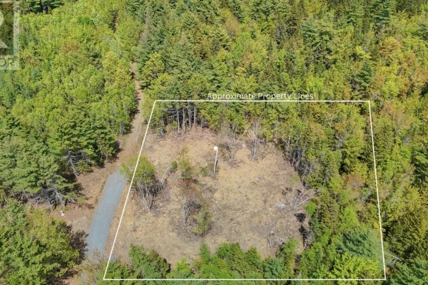 Aerial view shows cleared land within marked property lines, surrounded by trees. - Lot 107 Cleversey Ridge Park, Fauxburg