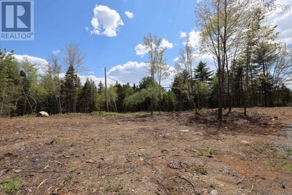 View across cleared land with scattered trees, stones, and a distant power pole. - Lot 107 Cleversey Ridge Park, Fauxburg