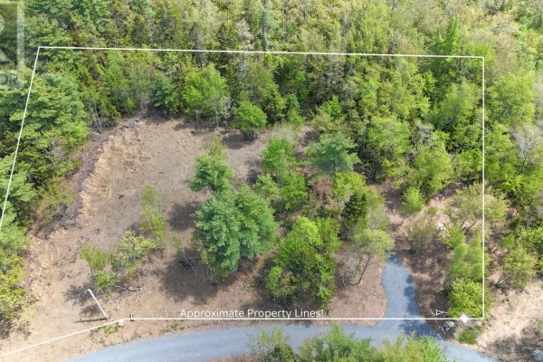 Overhead view of a cleared lot with trees and dirt, showing property lines. - Lot 108 Cleversey Ridge Park, Fauxburg