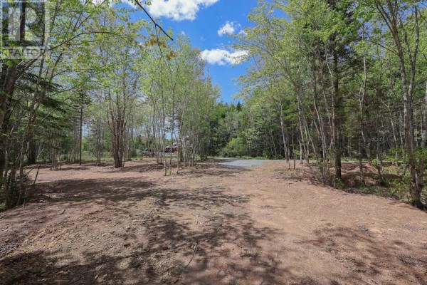 A dirt path leads through a clearing surrounded by deciduous trees. - Lot 108 Cleversey Ridge Park, Fauxburg