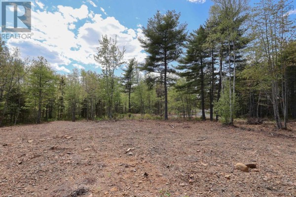 Cleared, rocky ground in a wooded area with tall pine trees. - Lot 108 Cleversey Ridge Park, Fauxburg