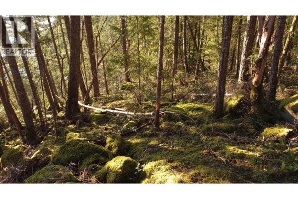 Lot 108 Seaview Road, Sechelt, BC V0N3A4 Photo 5