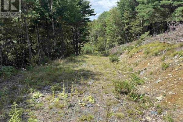 Lot 109 East Clifford Road, East Clifford, NS, photo 3