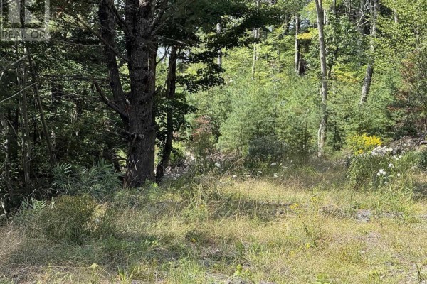 Lot 109 East Clifford Road, East Clifford, NS B4V1Y7 Photo 4