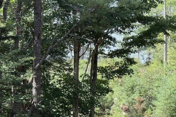 Lot 109 East Clifford Road, East Clifford, NS B4V1Y7 Photo 5