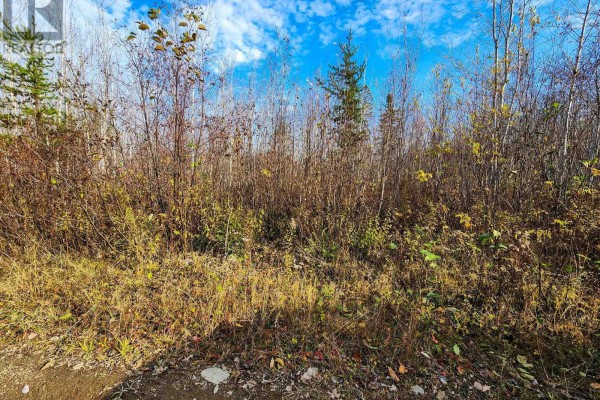 Lot 11 Con 4, Long Lake, Englehart, ON P0J1H0 Photo 5