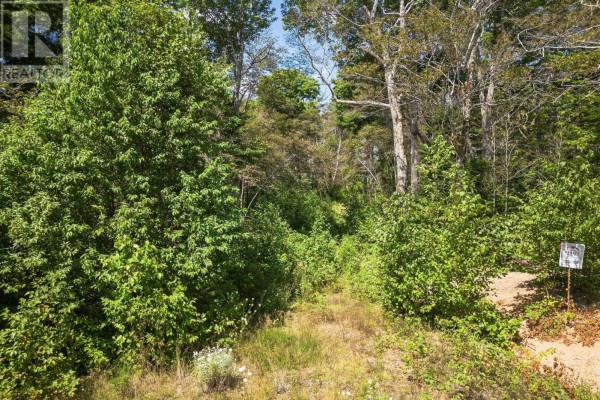 Lot 11 Duke Lane, Malagawatch, NS B0E2Y0 Photo 3