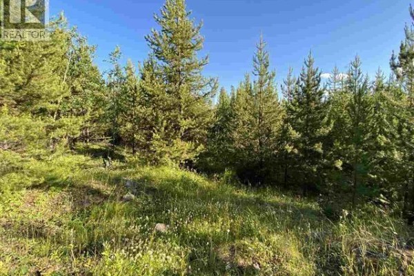 Lot 11 Evergreen Drive, Lone Butte, BC V0K1X3 Photo 3