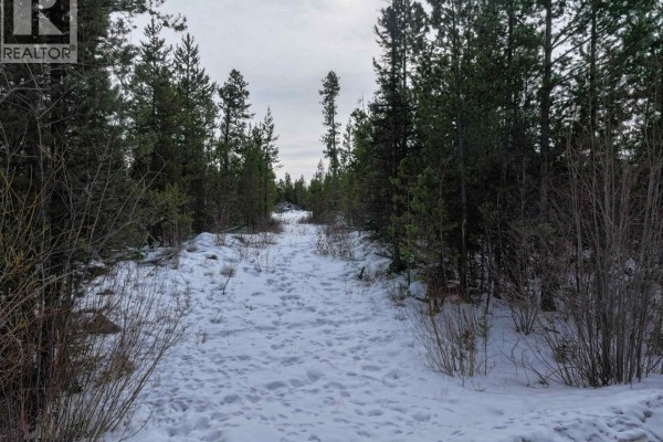 Lot 11 Evergreen Drive, Lone Butte, BC V0K1X3 Photo 4