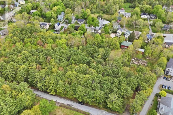 A path winds through trees towards a red barn with a green roof in a grassy field. - Lot 11 Kinburn Street, Mahone Bay