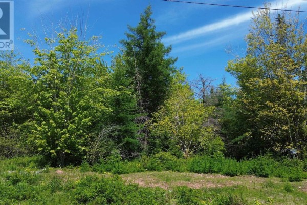 Lot 11 Lower River Road, Grantville, Grantville, NS B0E1J0 Photo 5