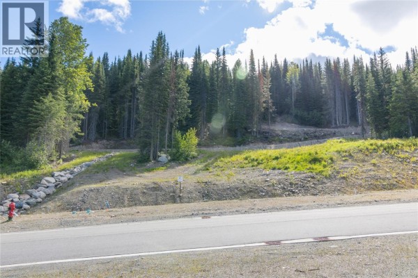 Lot 11 Mcgillivray Lake Drive, Sun Peaks, BC V0E5N0 Photo 4