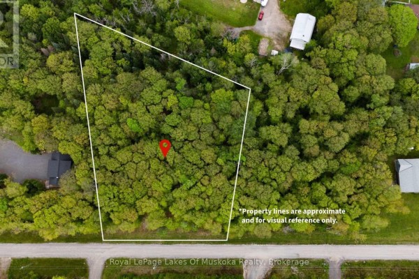 Lot 11 Millie's Way, Armour, ON P0A1C0 Photo 5