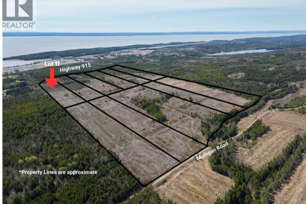 Lot 11 Route 915, Upper New Horton, NB, photo 2