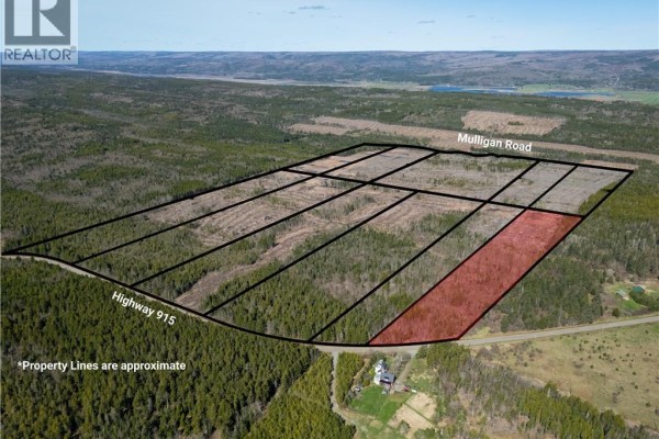 Lot 11 Route 915, Upper New Horton, NB E4H3T4 Photo 5