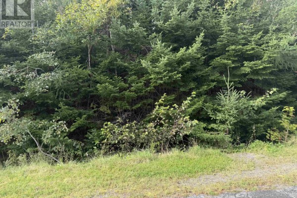 Lot 11 Schaller Drive, Sydney Forks