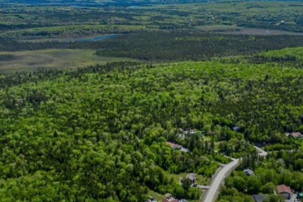 Expansive view of lush greenery and scattered homes in the Mount Uniacke region. - Lot 112 Moonlight Drive, Mount Uniacke