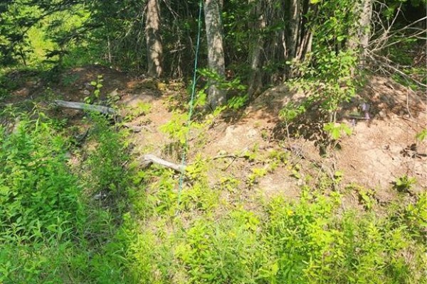 Lot 116 Highway, Harcourt, NB E4T2W9 Photo 4