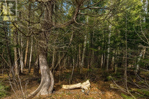 Lot 116 Iroquois Crescent, Tiny, ON, photo 3