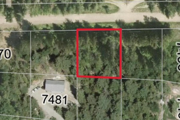 Lot 119 Crowfoot Drive Lot# 119, Anglemont, BC V0E1A0 Photo 2
