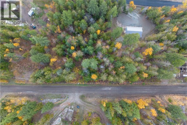 Lot 119 Crowfoot Drive Lot# 119, Anglemont, BC V0E1A0 Photo 4