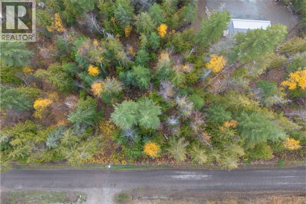 Lot 119 Crowfoot Drive Lot# 119, Anglemont, BC V0E1A0 Photo 5