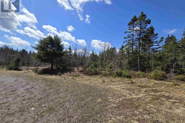 Lot 12, 13, 14 Hill Street, French Cove, NS B0E3B0 Photo 2