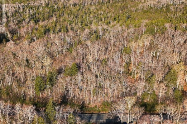 Lot 1&2, Mood Road, Summerville, NS B5A5N6 Photo 4