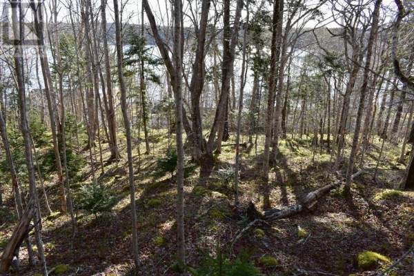 Lot 1&2, Mood Road, Summerville, NS B5A5N6 Photo 5