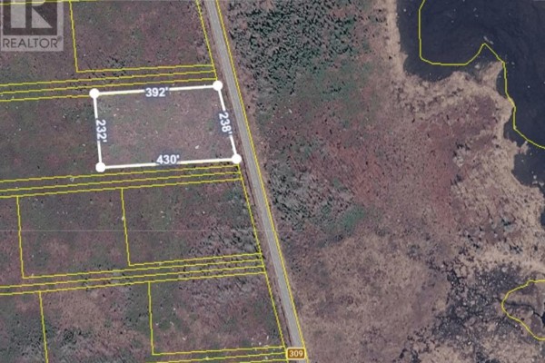 Aerial map displaying lot dimensions of 392 by 238 feet on a wooded property. - Lot 12, Swaines Road, Port Clyde