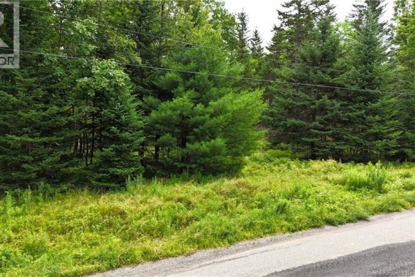 Pathway into the wooded area with snow, featuring a street sign for the location. - Lot 12-2 Hills Point Road, Oak Bay