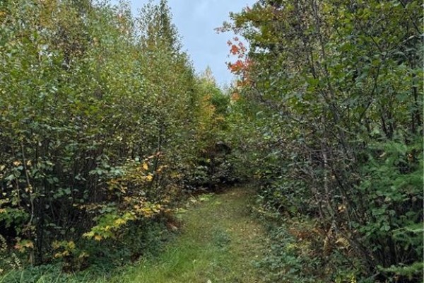 Lot 12-5 Wegesegum Road, Long Creek, NB E4A2R7 Photo 4