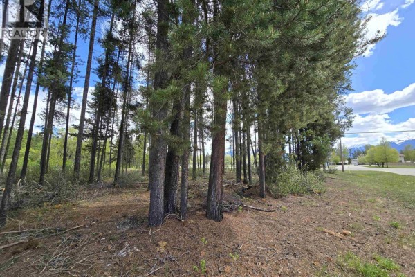 Lot 12 5th Avenue, Valemount, BC V0E2Z0 Photo 3