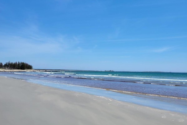 View of a sandy beach with gentle waves and a tree line along the coast under a blue sky. - Lot 12 Cross Road, Roseway