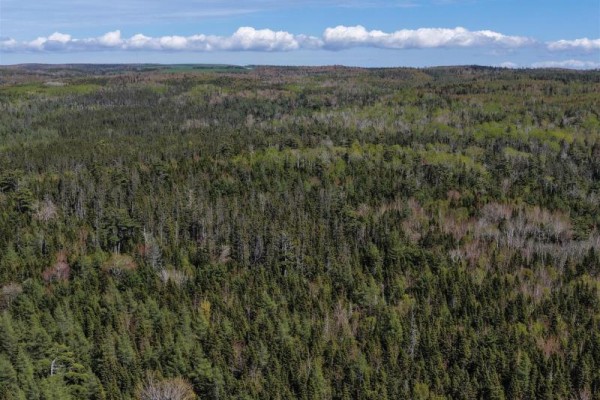 Lot 12 Highway 19, Southwest Mabou, NS B0E1X0 Photo 4