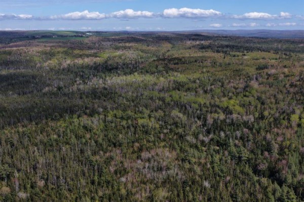 Lot 12 Highway 19, Southwest Mabou, NS B0E1X0 Photo 5