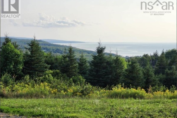 View from Lot 12 Highway 337, Antigonish County, with trees in the foreground and water in the distance. - Lot 12 Highway 337, Livingstone Cove
