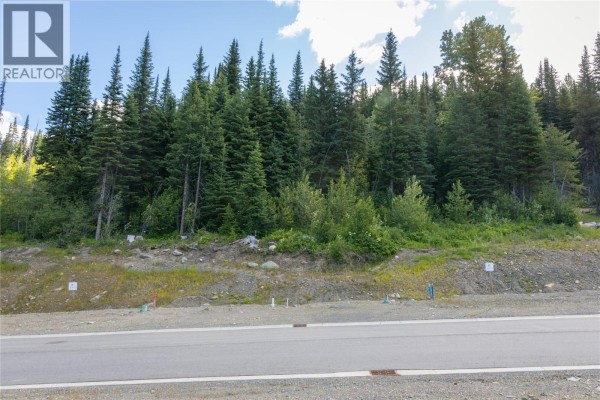 Lot 12 Mcgillivray Lake Drive, Sun Peaks, BC V0E5N0 Photo 4