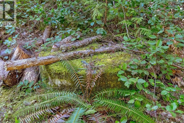 Lot 12 Mountain Rd, Duncan, BC, photo 2